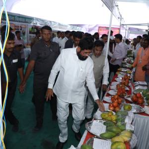 WhatsApp_Image_2026-01-02_at_4.09.59_PM_original