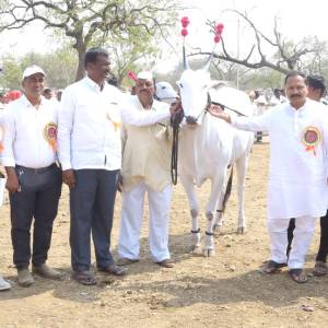 WhatsApp_Image_2026-01-02_at_4.10.07_PM_original