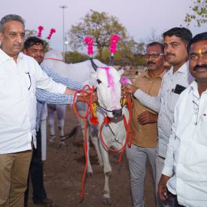 DSC06313_original_copy_1